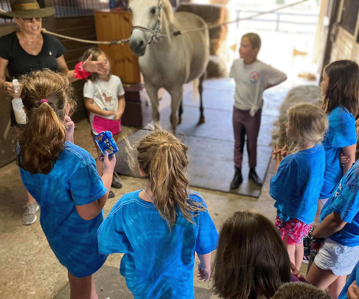 kids learning about horses